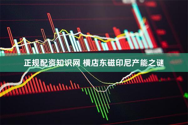正规配资知识网 横店东磁印尼产能之谜