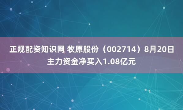正规配资知识网 牧原股份(002714)8月20日主力资金净买入1.08亿元