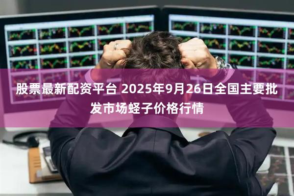 股票最新配资平台 2025年9月26日全国主要批发市场蛏子价格行情