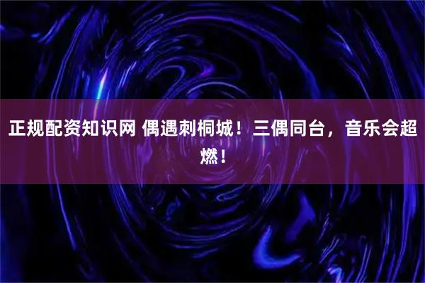 正规配资知识网 偶遇刺桐城!三偶同台,音乐会超燃!