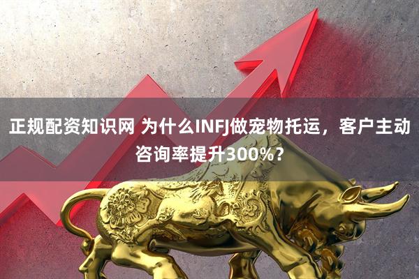 正规配资知识网 为什么INFJ做宠物托运，客户主动咨询率提升300%？